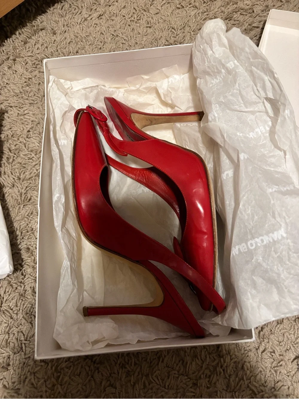 Manolo Blahnik sleek pointed